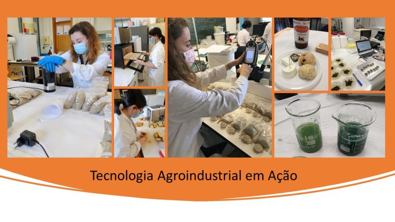 Tecnologia Agroindustrial em Ação