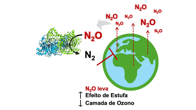 Vem conhecer uma enzima que pode ajudar na preservação da camada de ozono