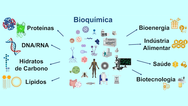 Bioquímica: Investigando os Mecanismos da Vida