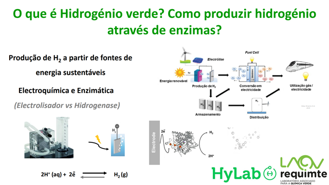 O que é Hidrogénio verde? Como produzir hidrogénio através de enzimas?